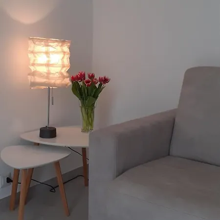 Flora * 莫尔特拉西奥