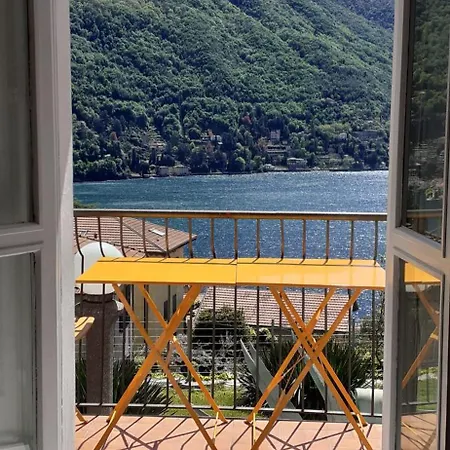 Flora * 莫尔特拉西奥