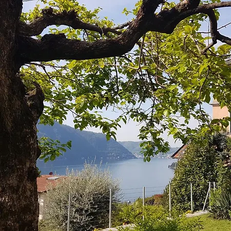 Flora Apartamento Moltrasio