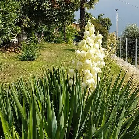 Lejlighed Flora