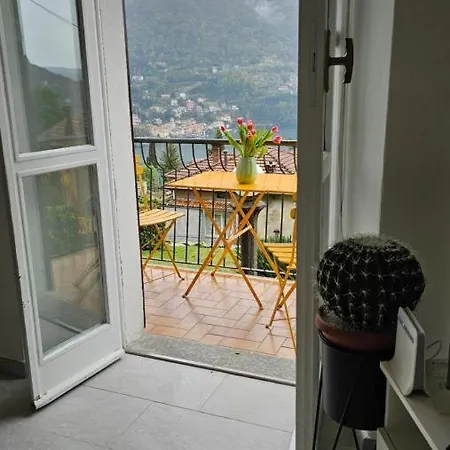 Flora Moltrasio