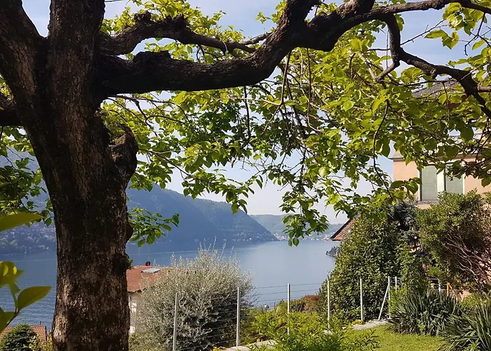 Flora Apartment Moltrasio