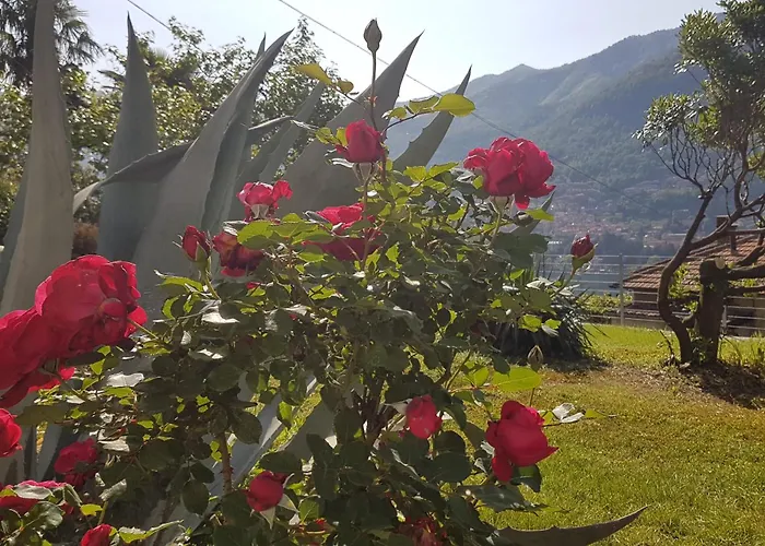 Apartament Flora